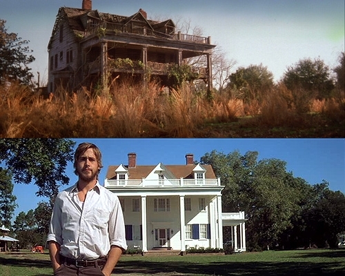  Ryan ngỗng con, gosling with an old house :)