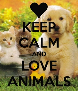  Save all Tiere <3