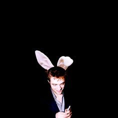  I wanna bunny hop with my British bunny<3