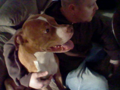  My brother's pitbull, Tyson <3