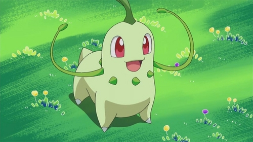  My Favorit Pokemon starter is Chikorita