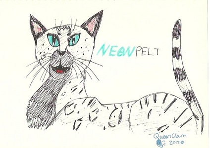  I am named Neonpelt of Riverclan/ Boulderclan, I have еще drawings of her if Ты need more.