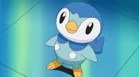  Piplup how can Du not think its cute