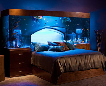 Aquarium Bed :D