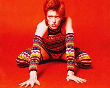  colorful Bowie jungle cat<3