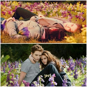 My icon is of Edward Cullen and Bella Swan.Edward is a vampire and Bella is a human.They meet and fall in love.Edward has a special mind reading power,but the only mind he can't read is Bella's.Edward is drawn to her and her blood,which sings to him,more than anyone else's blood,because she is his la tua cantante(his singer).

The icon is of them lying in their meadow,which was how the love story of Edward and Bella came to be.Stephenie Meyer,the author/creator of Twilight had a dream of a nameless vampire and human girl,and the dream stayed with her.With the encouragement of one of her sisters,she shared her dream with the rest of the world,and thus Edward and Bella's love story was created.