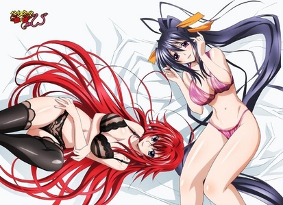  Both Rias Gremory and Akeno Himejima from High School DxD are two out of my twenty 아니메 crushes.