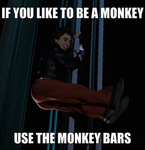  Joey likes to monkey around XD