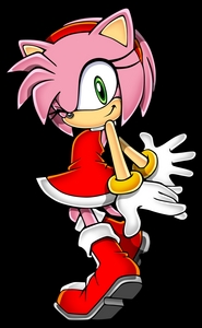  I hate Shadow and Amy Rose. Shadow, he tried to kill someone younger than him (Cosmo) even thought it is for her sake, she deserves to live, she's innocent. As for Amy, she's so annoying like Haruhi Suzumiya but I don't really hate her.