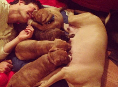 Ian being adorable with his puppies <3