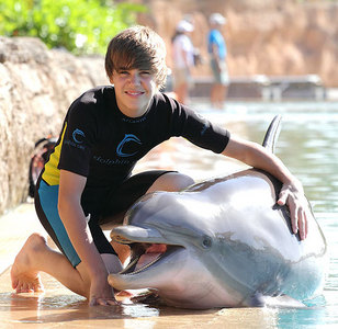 it appears that even animals are also fans of JB,especially this lovable dolphin