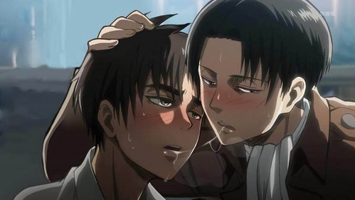  I think that Eren and Levi are a cute pair. Even thought Levi as begin a total bunda towards Eren I felt he was yet also caring for him in his way.