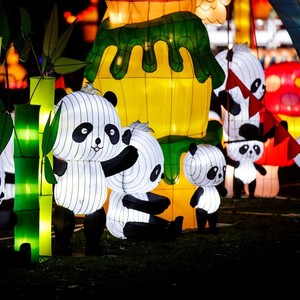  There's many places I want to go to. One being China. Tonight I was at a Chinese lantern festival in my city and it merely solidify my need/want to travel eventually. And this is one of the exhibits I saw tonight.