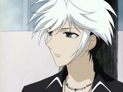  Sohma Hatsuharu from Fruits Basket has white and black hair.