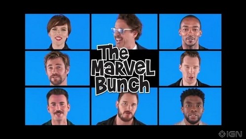  the Marvel Bunch...Black Widow,Thor,Captain America,Iron Man,Star Lord,Falcon,,Dr Strange and Black 豹, 黑豹