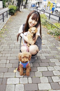  Here is Kojiharu and her toy poodles