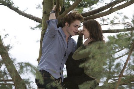  my beautiful Twilight couple in a tree<3
