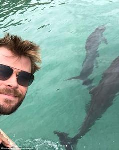 Chris taking a selfie with dolphins in the water on his family outing to canguru Island...three magnificent creatures in 1 pic<3