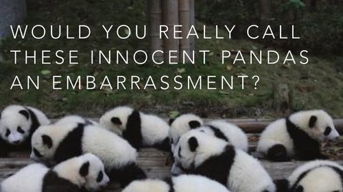  a group of pandas are called an 'embarrassment'