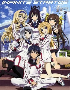  Infinite Stratos. Although it's meer of a guilty pleasure anime than an underrated anime.