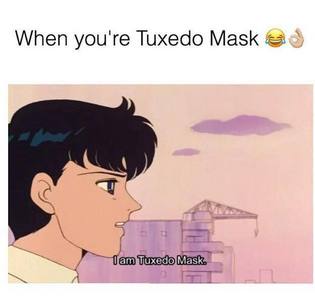 I'm just gonna be a tuxedo mask and stay in disguise