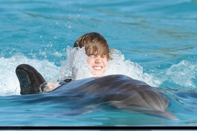 Justin swimming with a dolphin ! ^_^