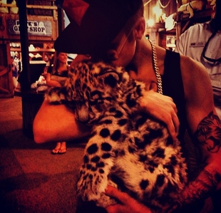  Justin at a zoo and holding a leopard cub.I'd tình yêu to hold one too