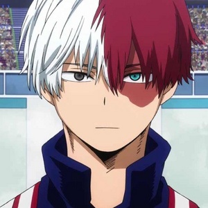  Todoroki I mean I just dyed me hair to look exactly like his, and I have blue eyes that turn silver sometimes