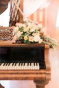 I would like to learn how to play the piano.I know a few notes but it would be great to learn it fully <3