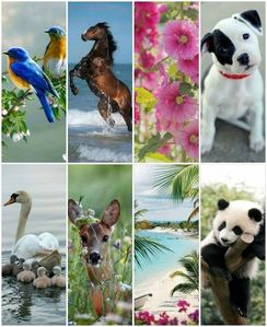  I have alot Животные i Любовь here a some : Dogs,cats(also wildcats,Pandas,Parrots,whales,dolphins,wolves,foxes,butterflies and alot of other Животные