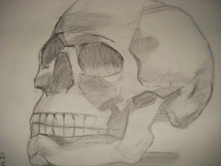  Lets draw skulls