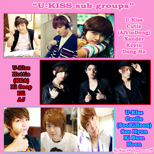 If you will create a sub-group of U-Kiss including Xander and Kibum what it will be and who will be it's members?