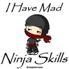  Do wewe like ninjas?