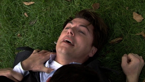 Post a picture of an actor lying on grass.