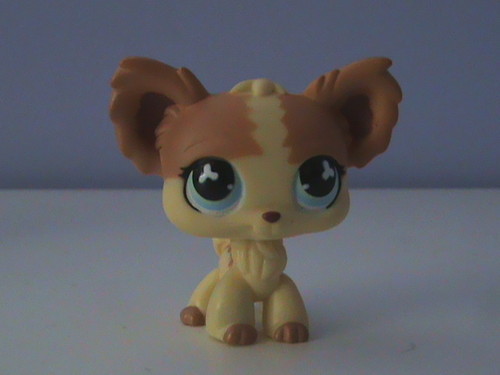 Post a picture of a Littlest Pet Shop that you would really like to get.