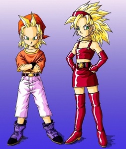  Do آپ think it's unfair that girls can't transform in super saiyan?