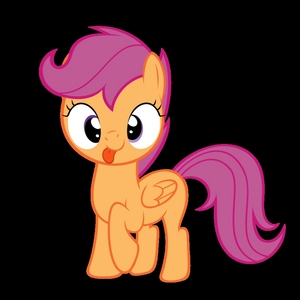  Would toi like this poney for a day?