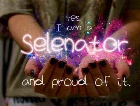  Who do あなた think is the biggest Selenator on Fanpop?