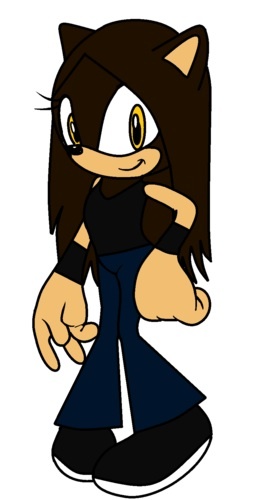  Can someone draw the main character for my sonic the hedgehog fanfiction?
