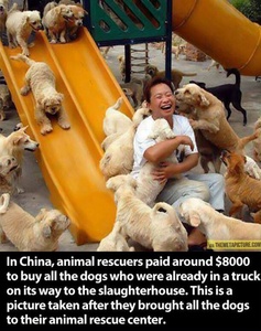 Post something that say faith in humanity restored or anything like it.