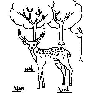  Can bạn colour this picture for my reindeer colouring competition? The winner will be added to my Fanlist!