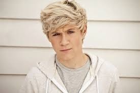  What's Niall's Horan प्रिय Color?
