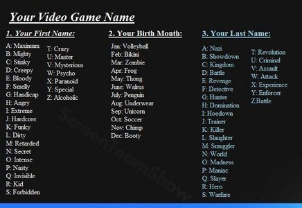 Your Video Game Name is...?