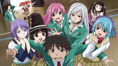 Post an anime that has a "love cluster-f***" (Or an anime that has one boy with dozens of girls that want to be his girlfriend)