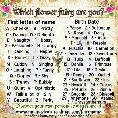 Which Flower Fairy Are You? 