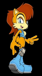  Why didn't Sally Acorn appear in any of the Sonic series?