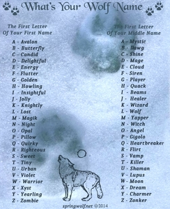  What Is Your 狼 Name ?