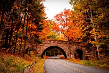  What country ou place do toi think looks the prettiest in the Autumn?