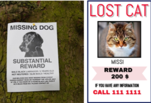 If you’ve found someone’s missing cat or dog that threatens to bite or scratch you if you catch and handle it, how would you deal with it?