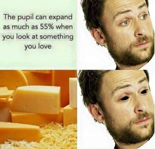  What is your kegemaran kind of cheese?